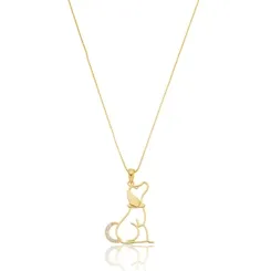 Colar Pet Cachorro