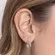 Brinco Earhook de Duas Fileiras