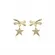 Brinco Pequeno Lacinho Navete com Pingente Estrelinha Cravejada em Zircônias Banhado a Ouro 18K
