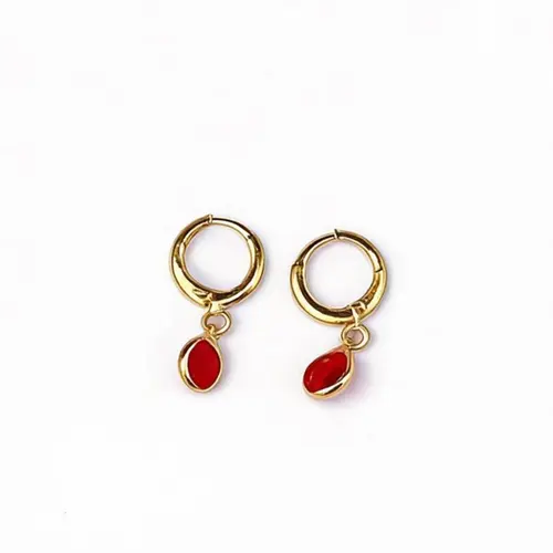 Brinco Argolinha Lisa com Pingente de Ponto de Luz Cristal Banhado a Ouro 18 k