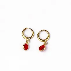 Brinco Argolinha Lisa com Pingente de Ponto de Luz Cristal Banhado a Ouro 18 k