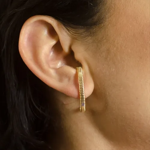 Brinco Earhook Oval Detalhado