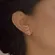 Brinco Earhook  Fileira Zircônia e Corações
