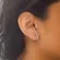 Brinco Earhook Aros X