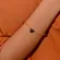 Pulseira CorrenteElo Português Pingente Coração